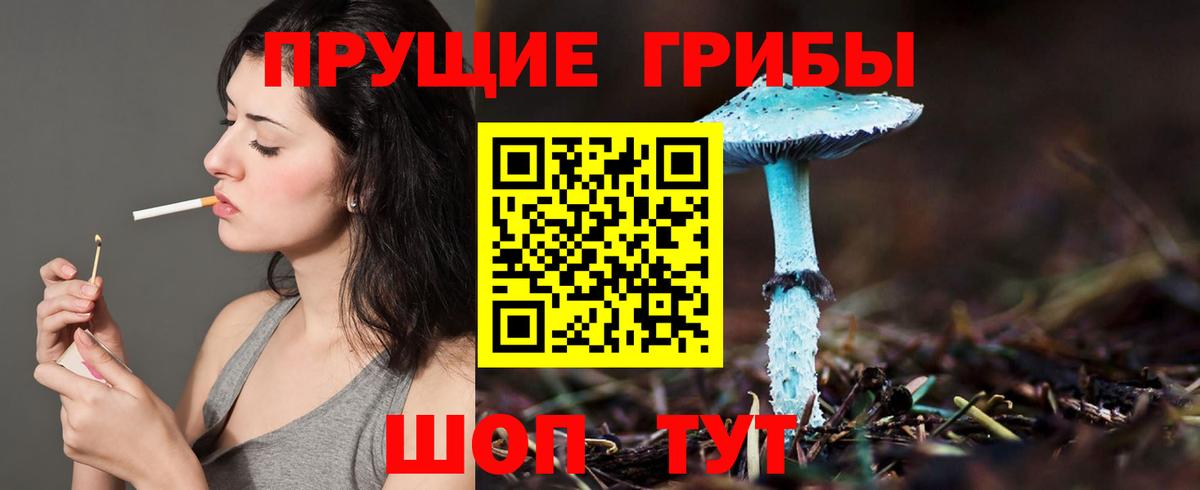 Псилоцибиновые грибы мухоморы  Псилоцибиновые грибы Psilocybe  Вход с VPN  Свободный 